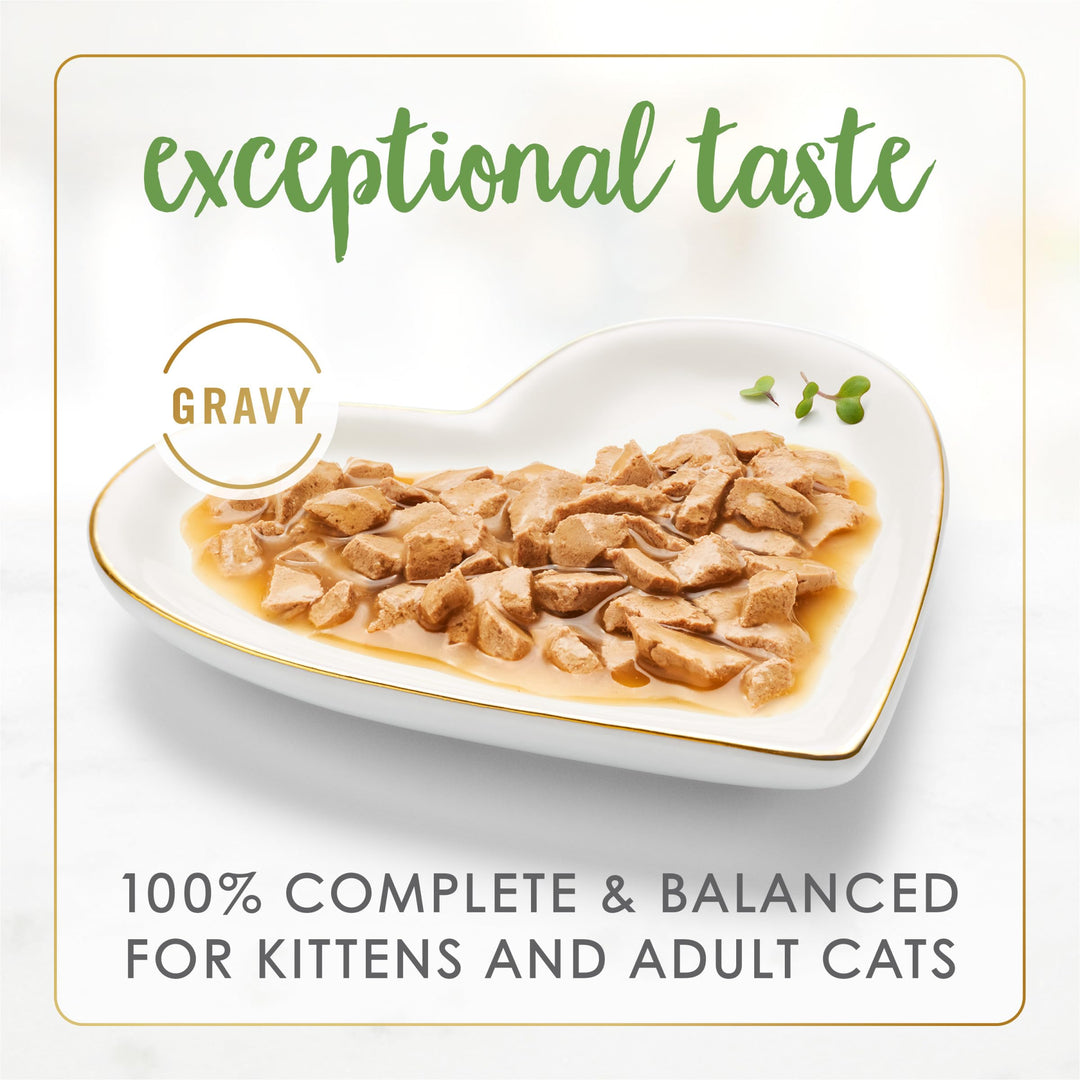 Purina Gravy Lovers Salmon Feast Grilled Gourmet Cat Food in Wet Cat Food Gravy - (Pack of 24) 3 oz. Cans