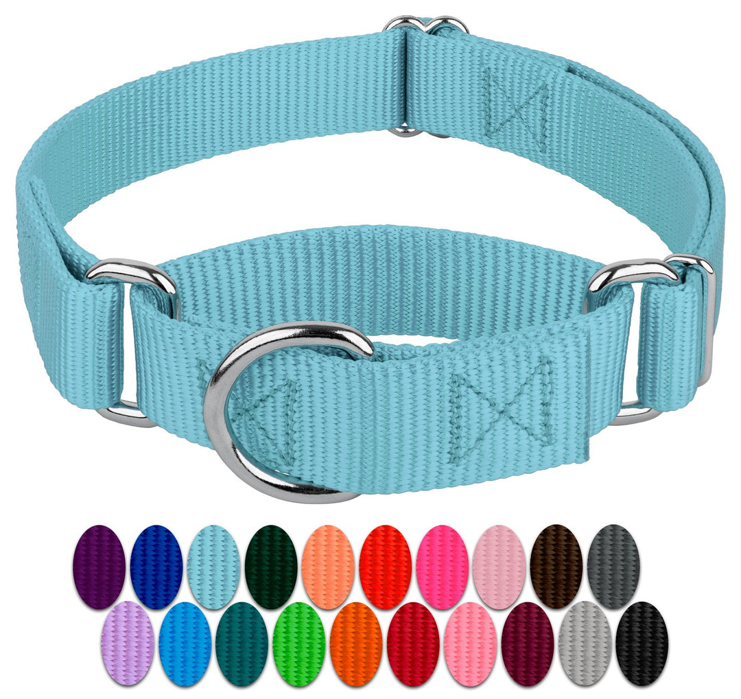 Country Brook Petz Martingale Dog Collar - Heavy-Duty Training Collar with No Buckle - Service Dog Collar for All Pups - Vibrant, Colorful Collection (Ocean Blue, 1 Inch, Large)