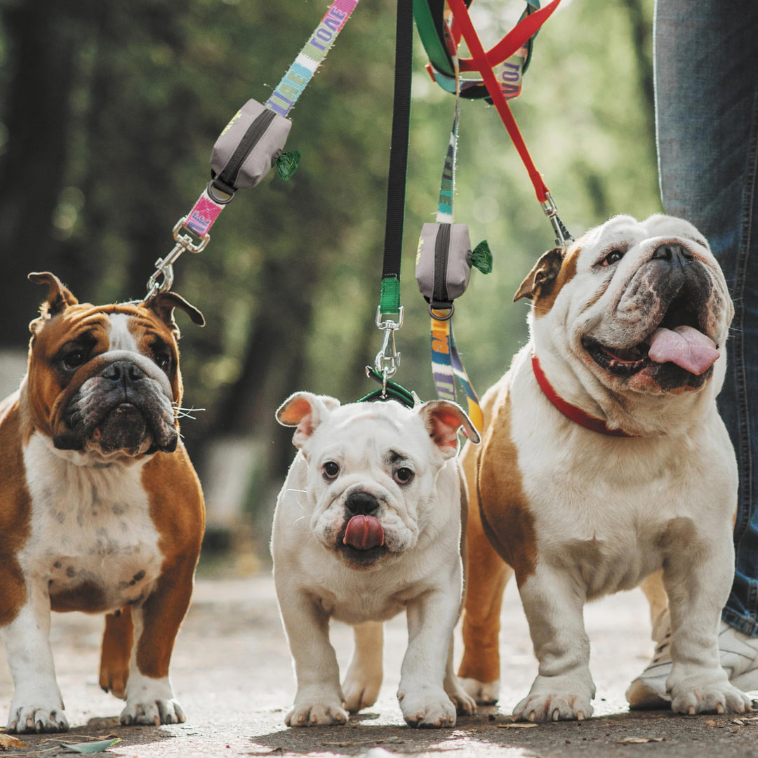 Dog Poop Bag Holder for Leash, Lightweight Dispenser for Pet Waste Bags, Easy Cleanup Accessory for All Leashes, Includes Bags