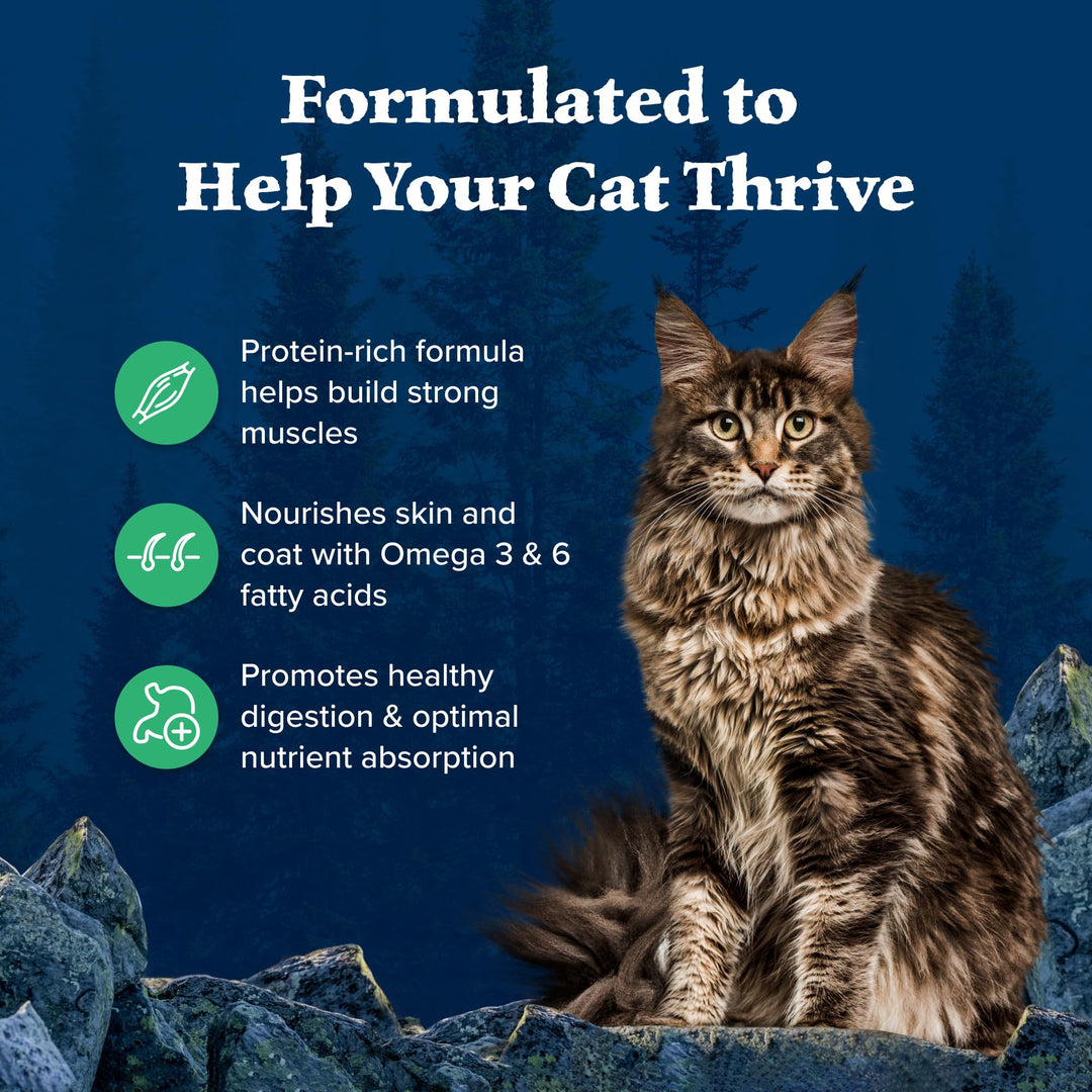 Blue Buffalo Wilderness Duck Supports Health and Wellness High-Protein & Grain-Free Healthy Adult Dry Cat Food 11 lbs.