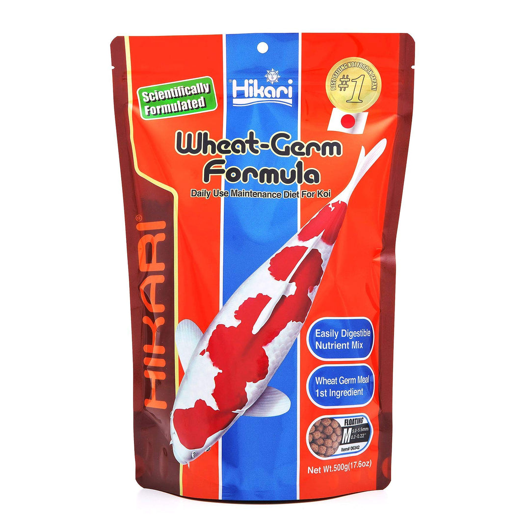 Hikari 17.6-Ounce Wheat Germ Floating Pellets for Pets, Medium