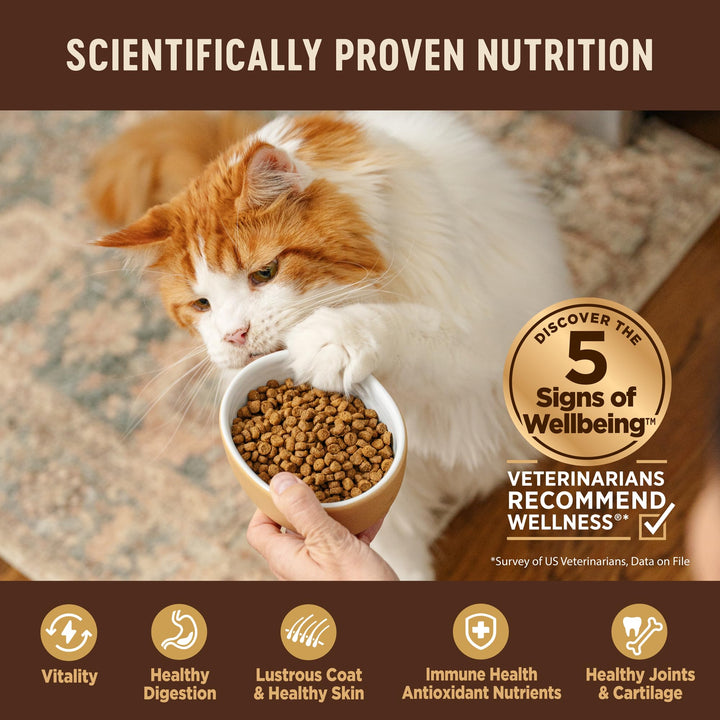 CORE Kitten Dry Cat Food for Indoor & Outdoor Cats, Grain Free, Natural, Original Turkey, Turkey Meal and Chicken (5 Pound Bag)