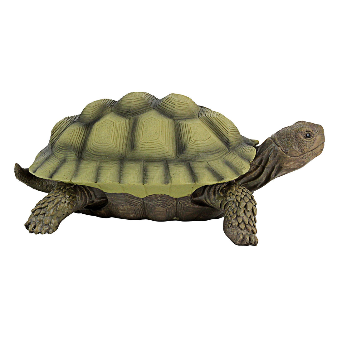 QM1887611 Gilbert the Box Turtle Indoor/Outdoor Garden Decor Animal Statue, Set of One