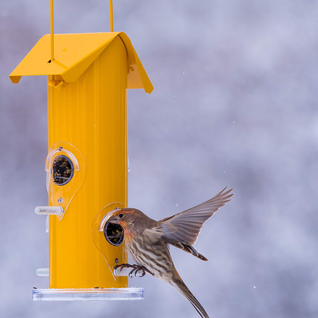 390 Wild Bird Feeder, Yellow
