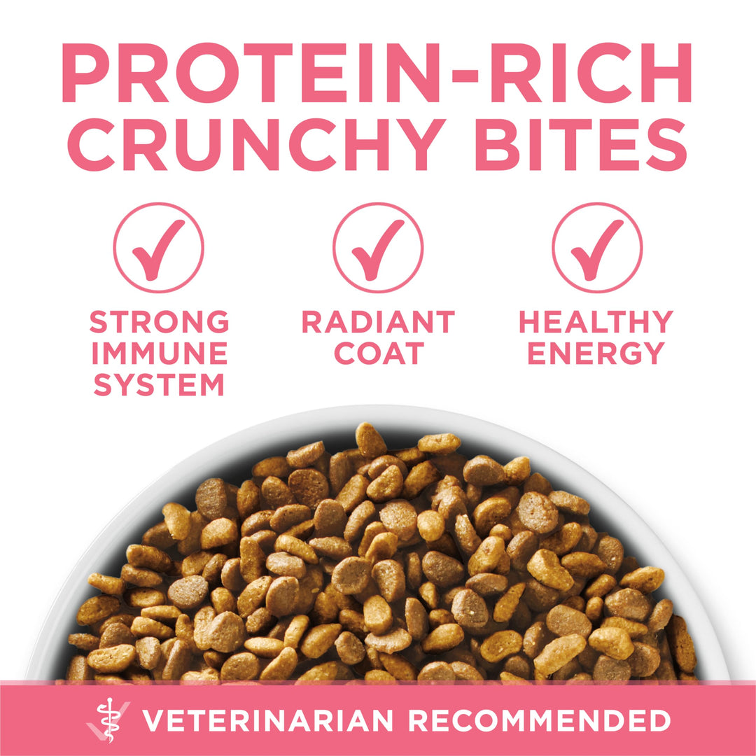 High Protein, Natural Dry Kitten Food, +Plus Healthy Kitten Formula - 16 lb. Bag