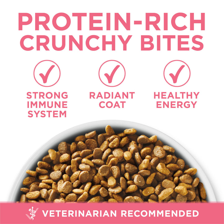 High Protein, Natural Dry Kitten Food, +Plus Healthy Kitten Formula - 16 lb. Bag