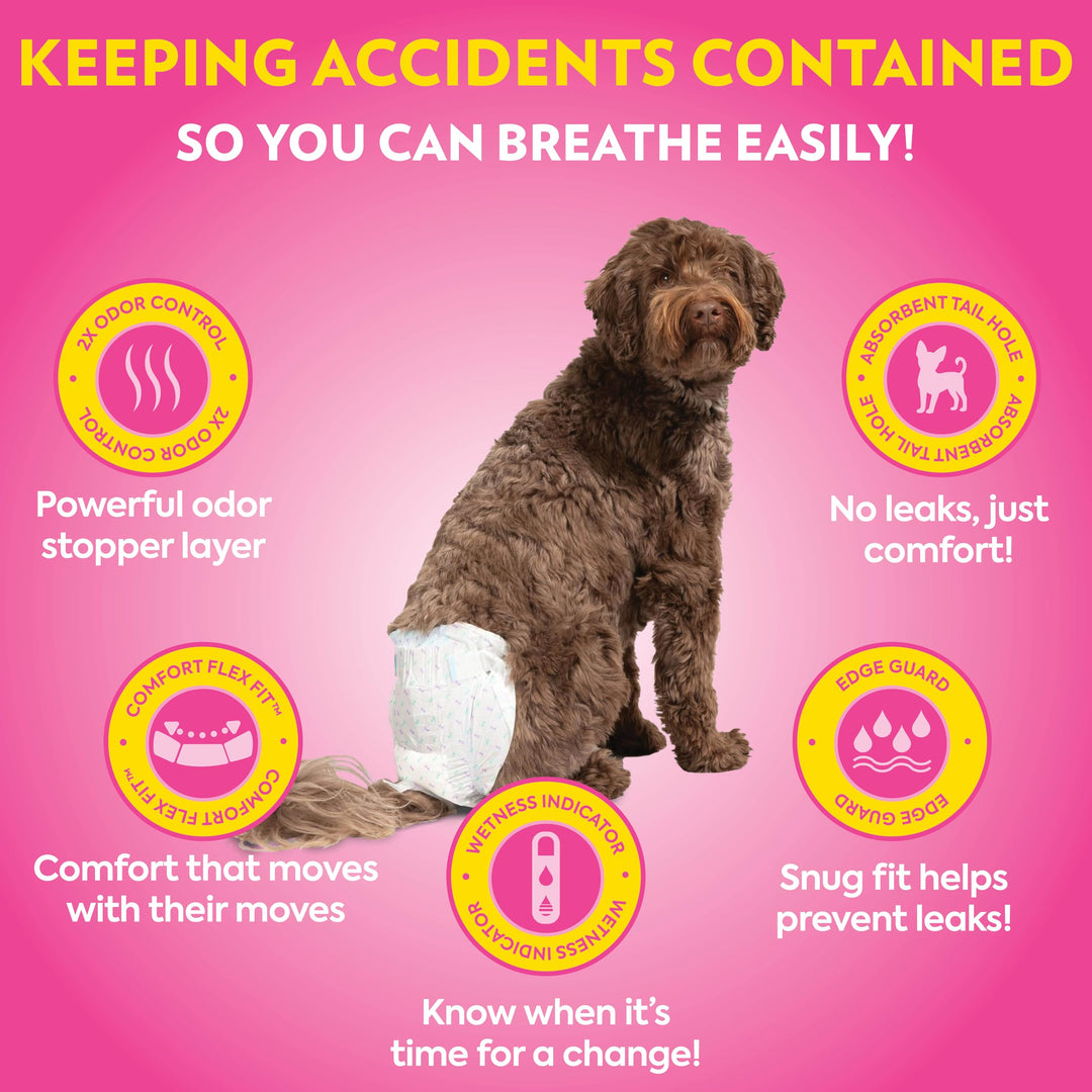 Petcare Disposable Dog Diapers, Female Dog Diapers, Incontinence Protection for Dogs, Heat Cycle Protection, Puppy Training Solution, 18”-25” Waist, Medium/Large, 32 Count