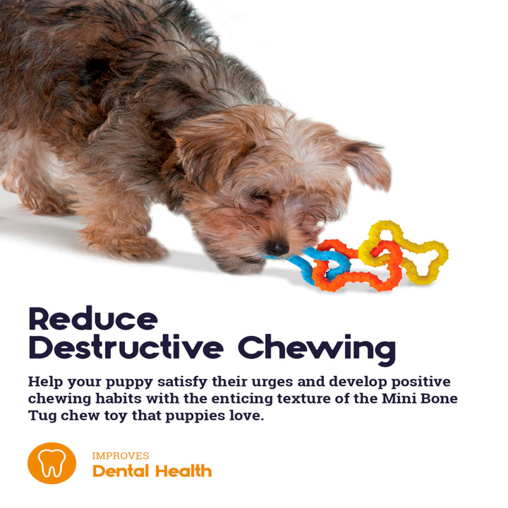 Mini Bone Tug Puppy Chew Toy