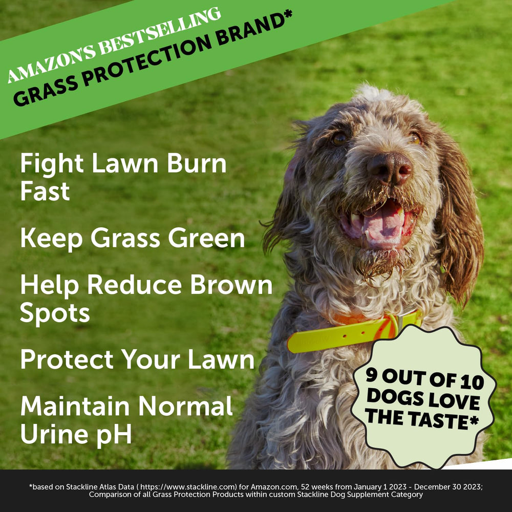 PetHonesty Grass Green Max Strength Burn Spot Chews for Dogs - Premium Formula - Dog Pee Lawn Spot Saver Supplement Caused by Dog Urine, Supports Healthy Digestion w/Probiotics + DL-Methionine - 90ct