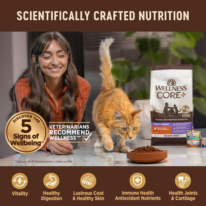 CORE+ Adult Dry Cat Food for Indoor Cats, Grain Free, Natural, Chicken, Turkey & Chicken Meal (11 Pound Bag)
