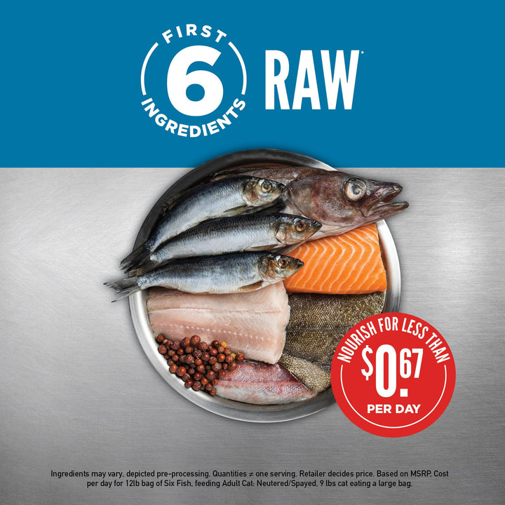 Six Fish Dry Cat Food, Grain Free Cat Food for All Life Stages, with WholePrey Ingredients, 4lb