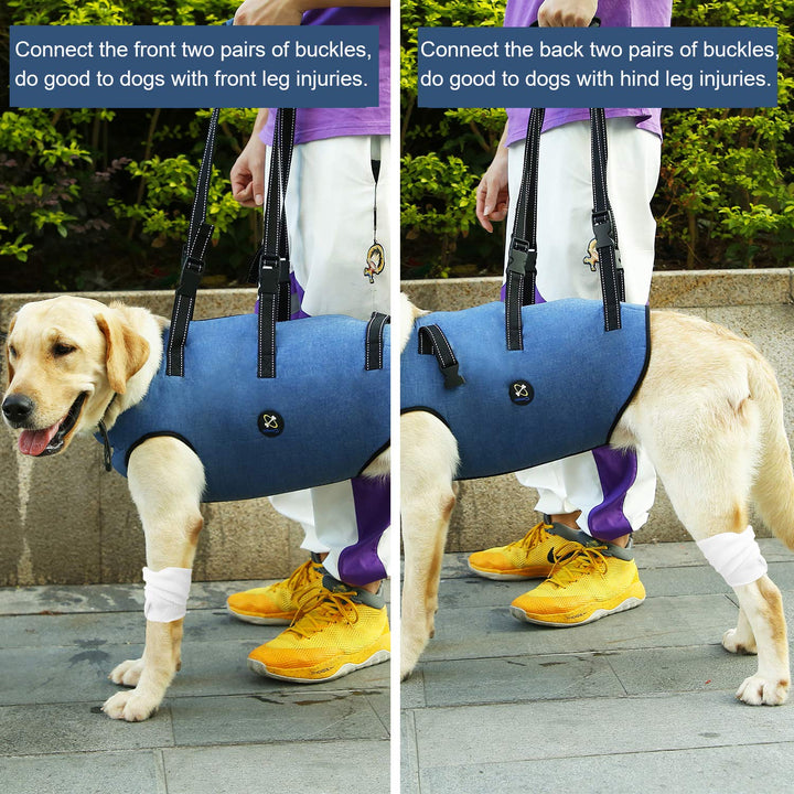 Dog Lift Harness, Pet Support & Rehabilitation Sling Lift Adjustable Padded Breathable Straps for Old, Disabled, Joint Injuries, Arthritis, Loss of Stability Dogs Walk (Blue, L)