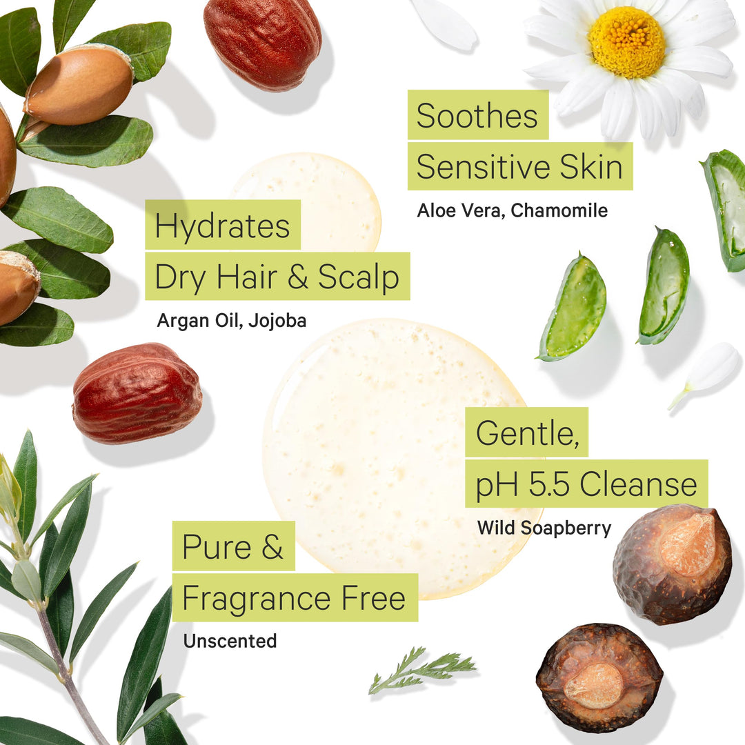 Fragrance Free Shampoo for Dry & Sensitive Scalp - Gentle Unscented Hydrating Hair Shampoo for Women & Men, Moisturizing Sulfate Free Shampoo w/Organic Argan Oil, All Natural Soapberry