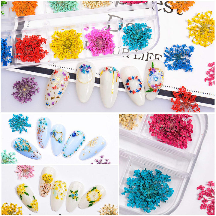 Dried Flowers for Nails 120pcs/set 3D Real Encapsulated Nail Pressed Flowers for Nail Art & Resin Craft DIY - Gypsophila, Five Petals Flowers, Leaves, Hydrangea Macrophylla (Pattern A)