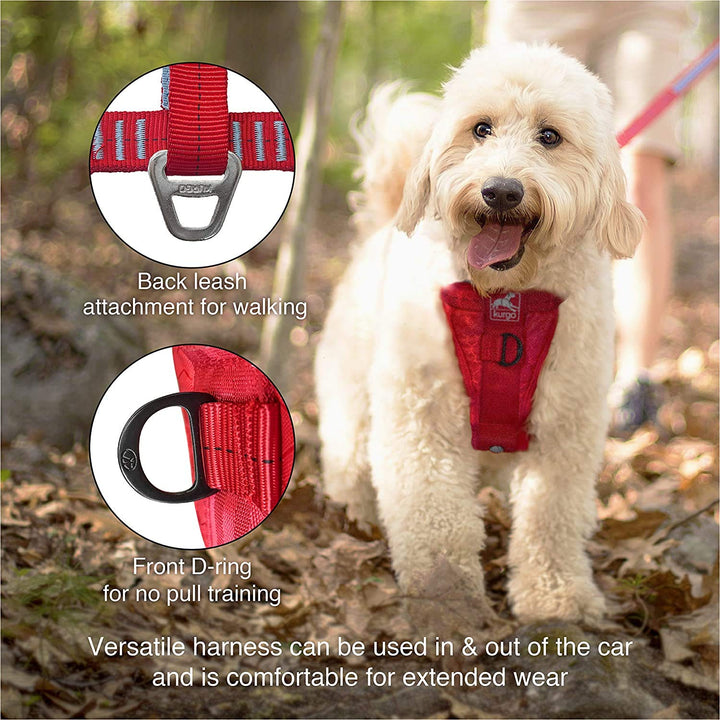 Tru-Fit Enhanced Strength Dog Harness - Certified Crash Tested Car Safety Harness for Dogs - Metal Buckles, Padded Chest - Includes Pet Seatbelt - No Pull Training - Red, Large