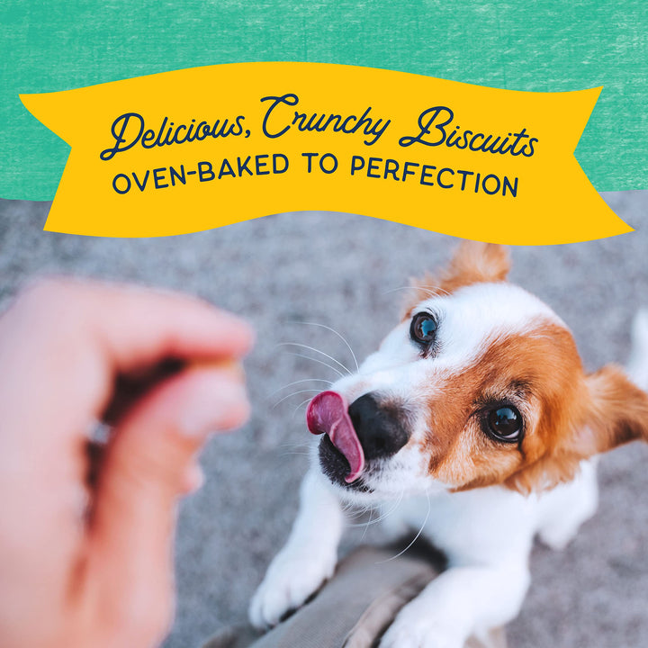 Limited Ingredient Rewards Crunchy Biscuits, Bite-Size Treats for Small-Breed Dogs, Made with Real Chicken, 8 Ounce (Pack of 1)