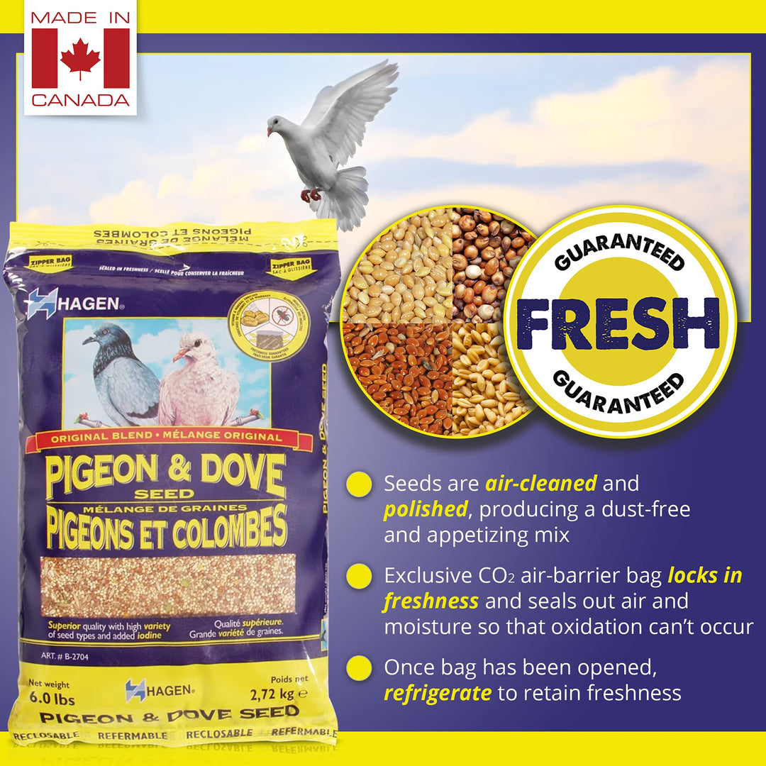 Pigeon & Dove Seed, Nutritionally Complete Bird Food, original version, 6 Pound (Pack of 1) (B2704)