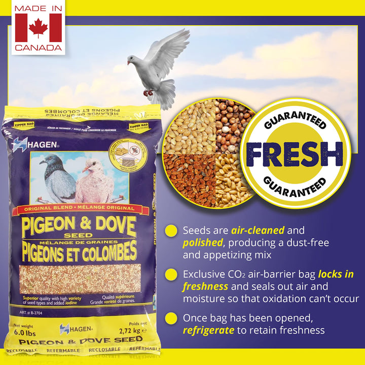 Pigeon & Dove Seed, Nutritionally Complete Bird Food, original version, 6 Pound (Pack of 1) (B2704)