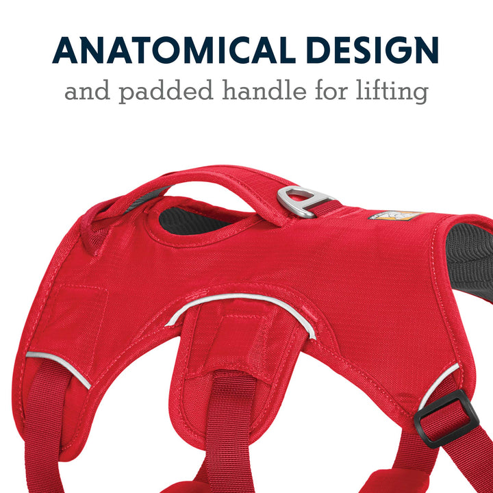 Ruffwear, Web Master, Multi-Use Support Dog Harness, Hiking and Trail Running, Service and Working, Everyday Wear, Red Currant, Medium