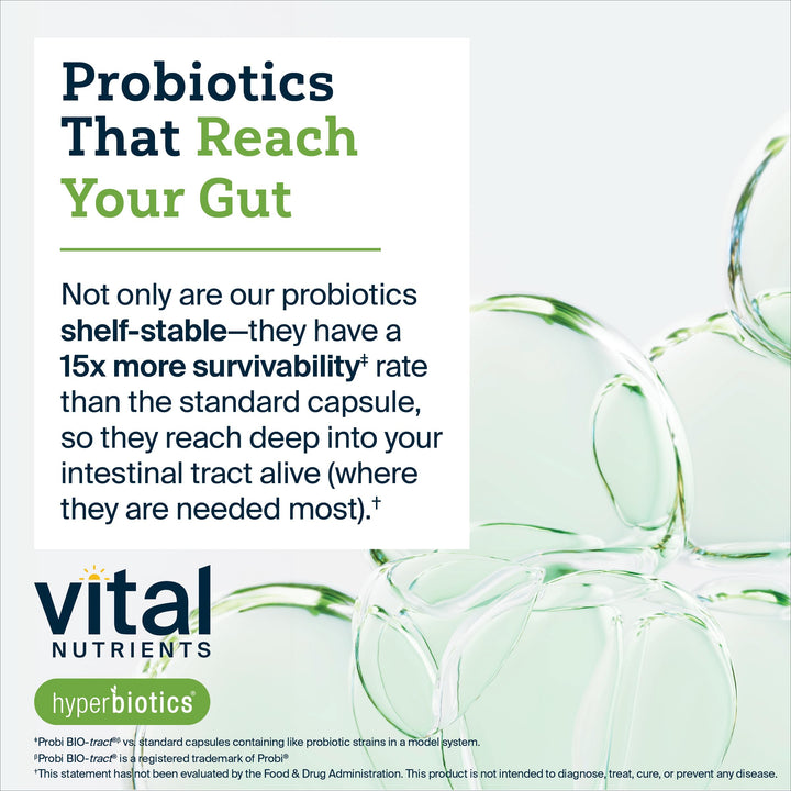 Vital Nutrients Bifidobacterium Probiotic | 7 Targeted Strains | Supports Immune and Digestive Health for Older Adults | Shelf-Stable | Vegan | 60 Tablets