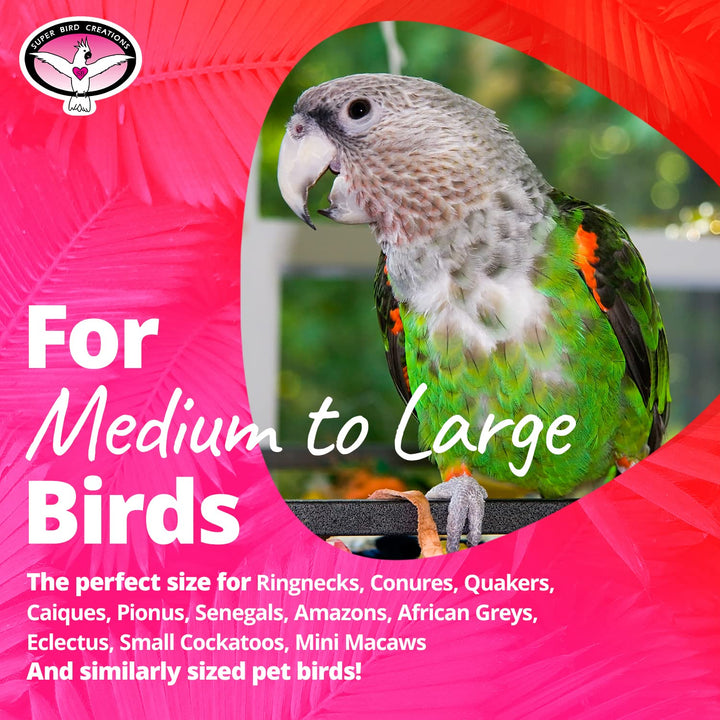 SB634 4 Way Forager Bird Toy with Clear Acrylic Cups, Medium to Large Bird Size, 12” x 7” x 7”