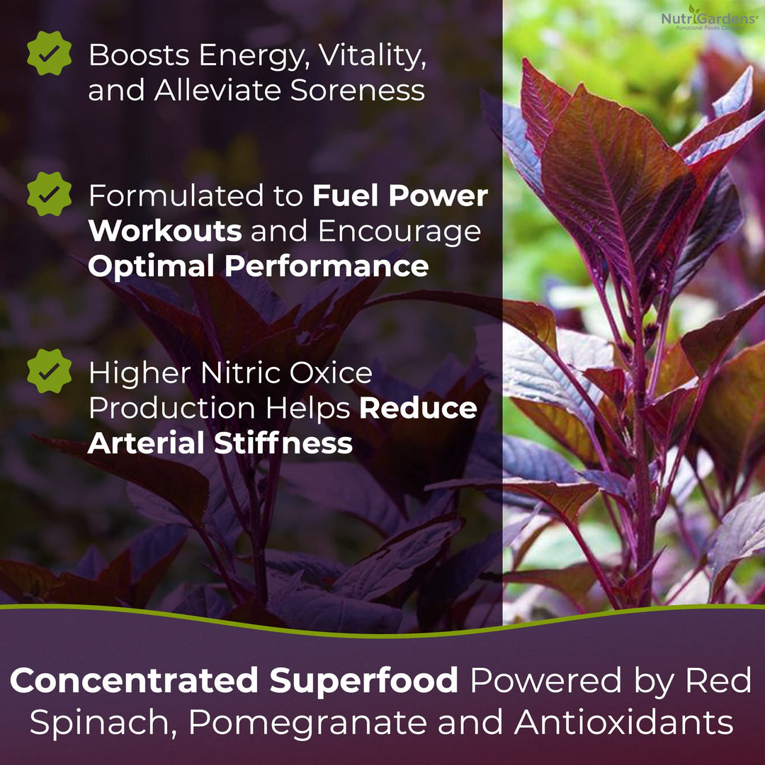 Spin Boost Nitric Oxide Red Spinach Nitrate Pre-Workout Powder Concentrated Super Juice Powder with Beets for Athletic Endurance