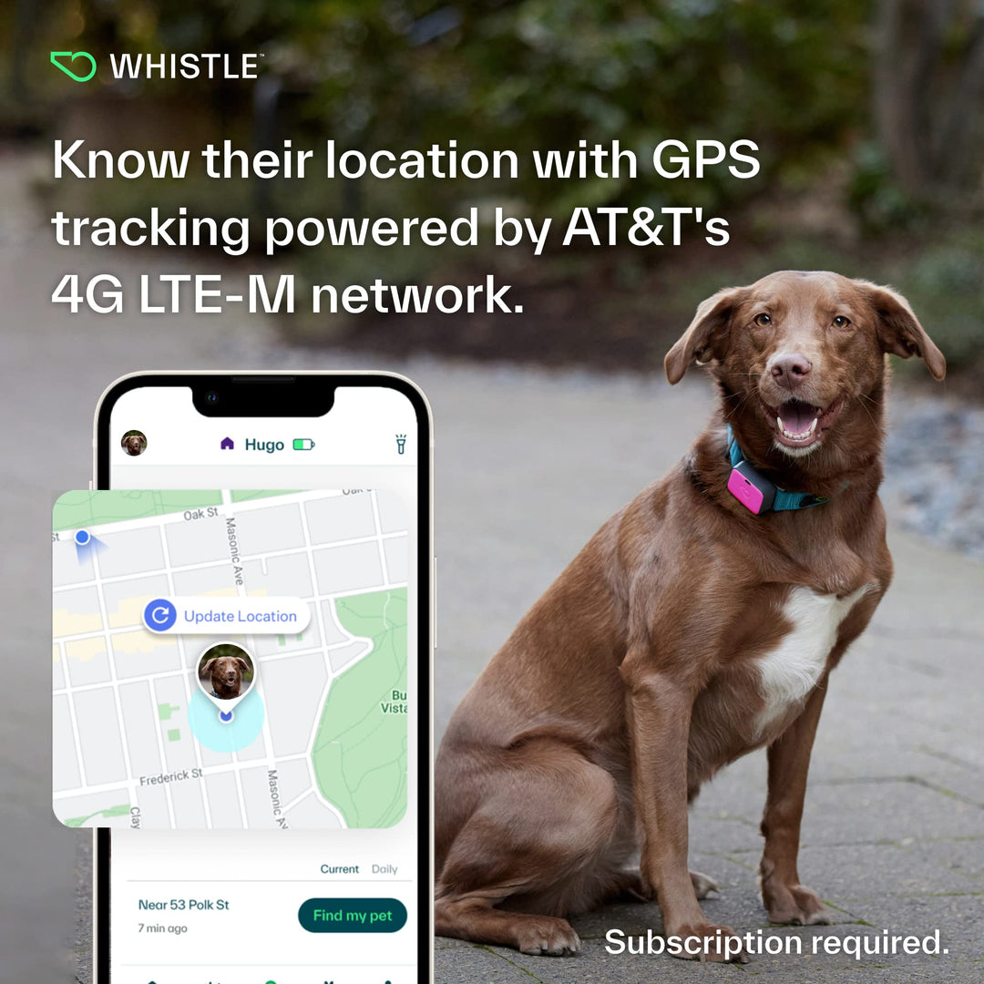 GPS + Health + Fitness - Ultimate Dog GPS Tracker Plus Dog Health & Fitness Monitor, Waterproof, Safe Place Escape Alerts, Built-in Night Light,Fits on Dog Collar, GO Explore, Magenta
