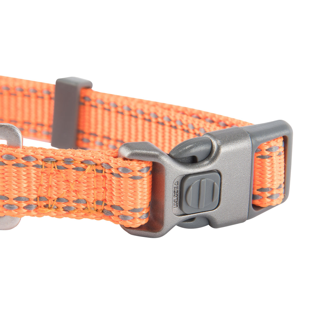 Classic Preformance Webbing Pet Collar, Fully Adjustable, Available in Solid Colors and Camo Patterns, Safety Orange, Small