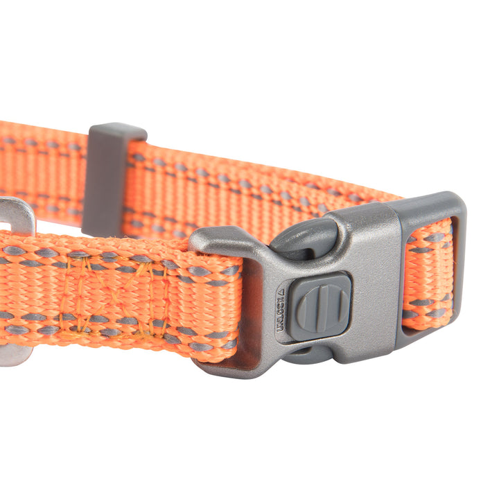Classic Preformance Webbing Pet Collar, Fully Adjustable, Available in Solid Colors and Camo Patterns, Safety Orange, Small