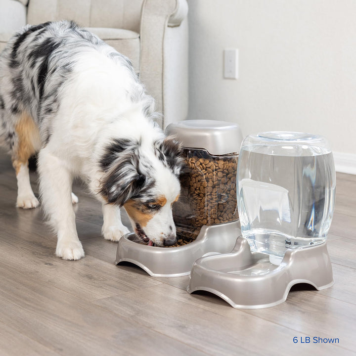 Pet Cafe Feeder Dog and Cat Feeder Pearlescent Colors 3 Sizes, Made in USA