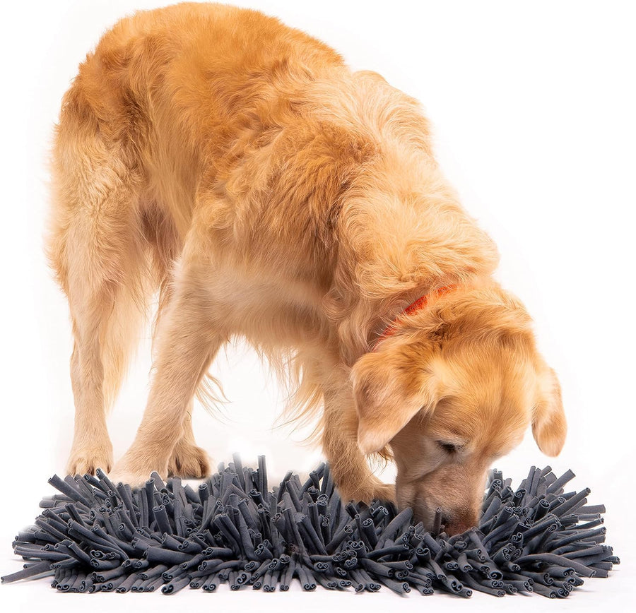 Dog Snuffle Mat for All-Sized Dogs 11x17 - Interactive Dog Toys - Premium Feeding Mat for Slow Eating & Smell Training - Reduces Boredom & Anxiety - Dog Brain Stimulating Toys