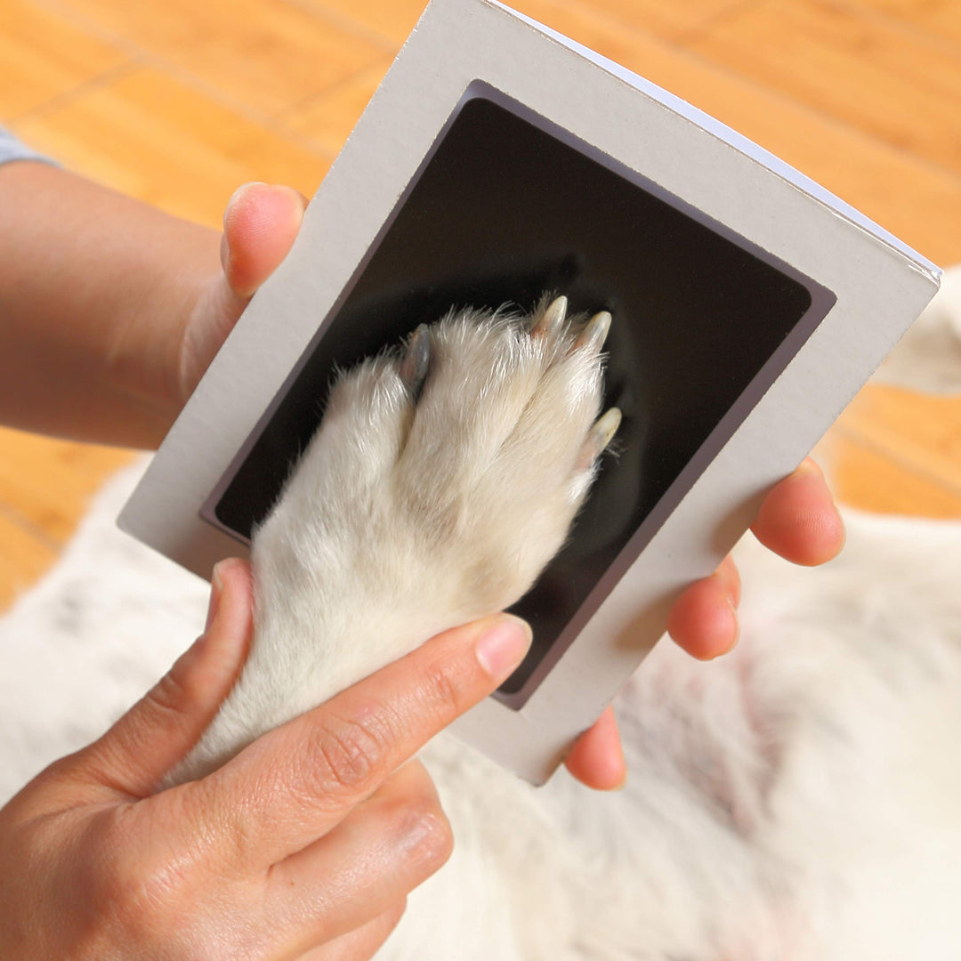 | Extra-Large Clean Touch Inkless Ink Pad for Pets | Paw/Nose Prints for Dogs & Cats Non-Toxic | Paw Print Stamp Kit | Dog Paw Print Kit | Cat Footprint Keepsake (1-Pack)