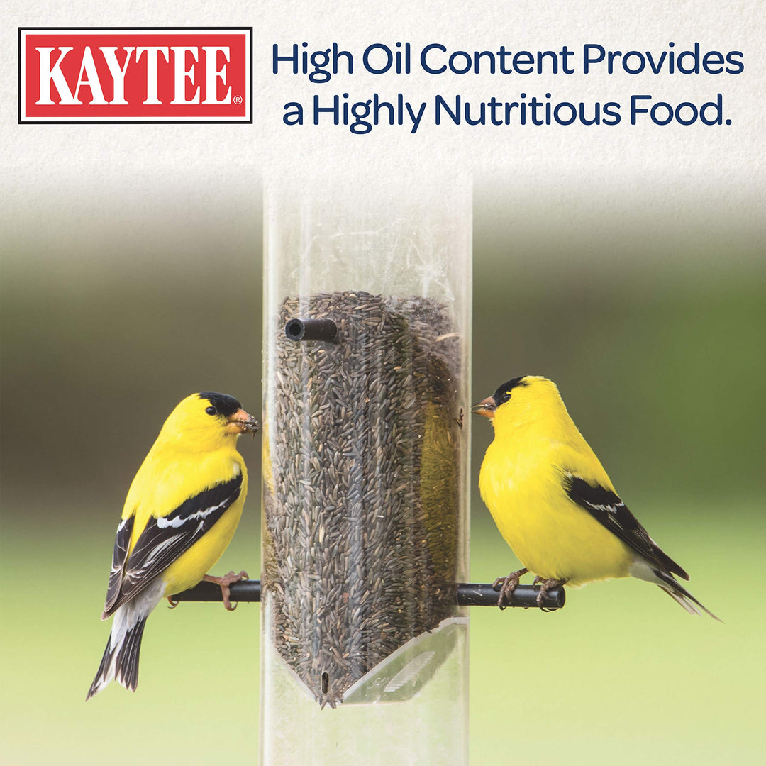 Nyjer Wild Bird Food Seed, 3 Pound