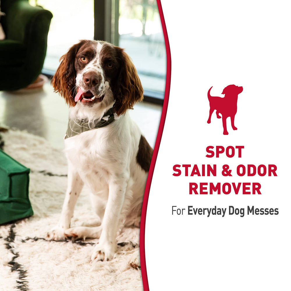 Dog Stain and Odor Remover, Everyday Mess Enzymatic Formula, 24 fl oz