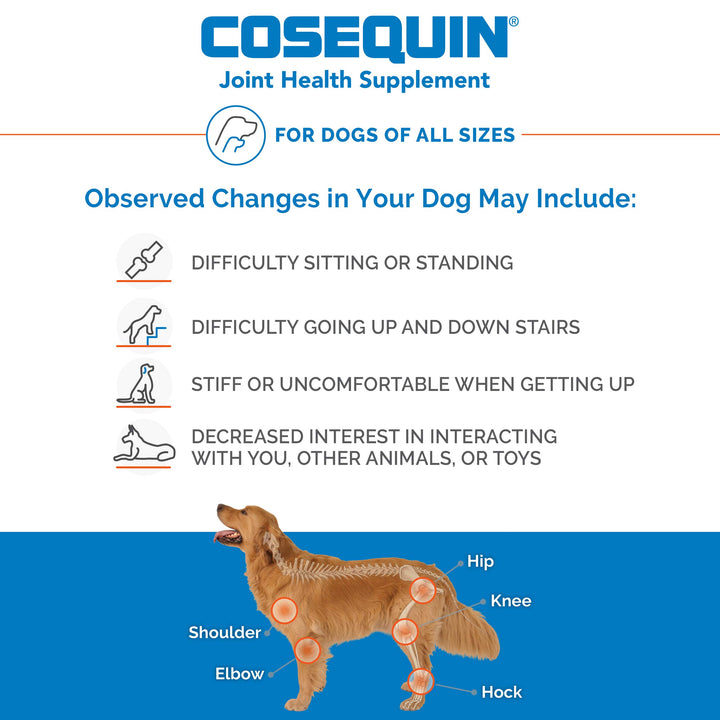 Nutramax Cosequin DS Joint Health Supplement for Dogs - With Glucosamine and Chondroitin, 250 Chewable Tablets