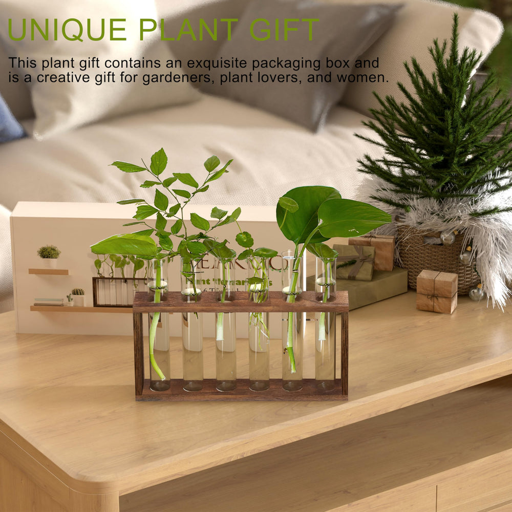 Plant Terrarium with Wooden Stand, Desktop/Wall Hanging Live Plant Propagation Station Planters Glass Tubes Hydroponic Vase Air Planter Holder for Indoor Office Home Garden Decor (6 Test Tubes)