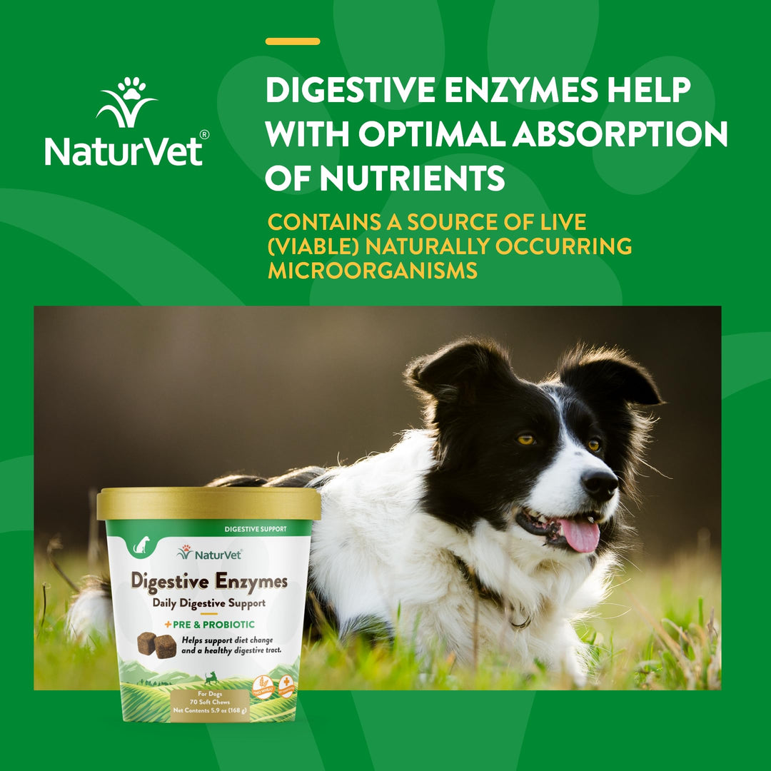 – Digestive Enzymes - Plus Probiotics & Prebiotics – Helps Support Diet Change & A Healthy Digestive Tract – for Dogs & Cats (Soft Chews, 70 Count)