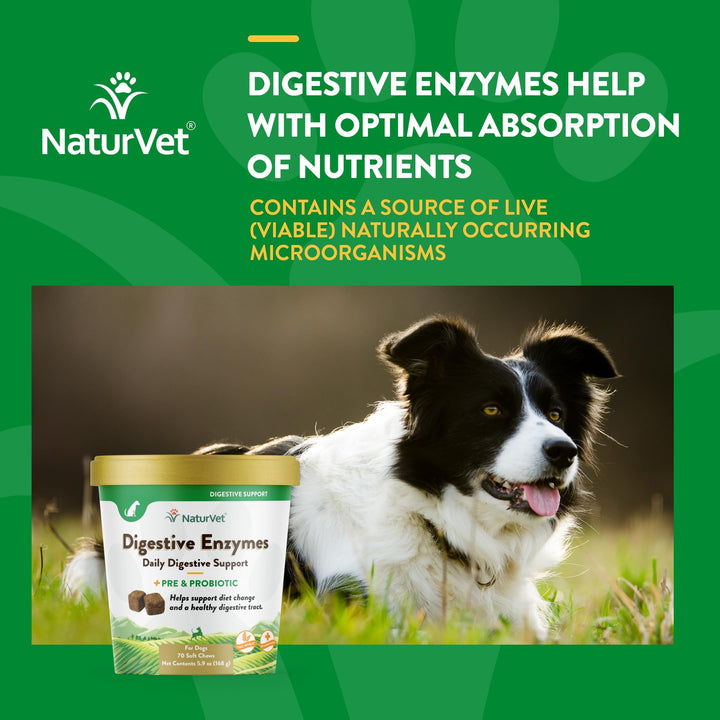 – Digestive Enzymes - Plus Probiotics & Prebiotics – Helps Support Diet Change & A Healthy Digestive Tract – for Dogs & Cats (Soft Chews, 70 Count)