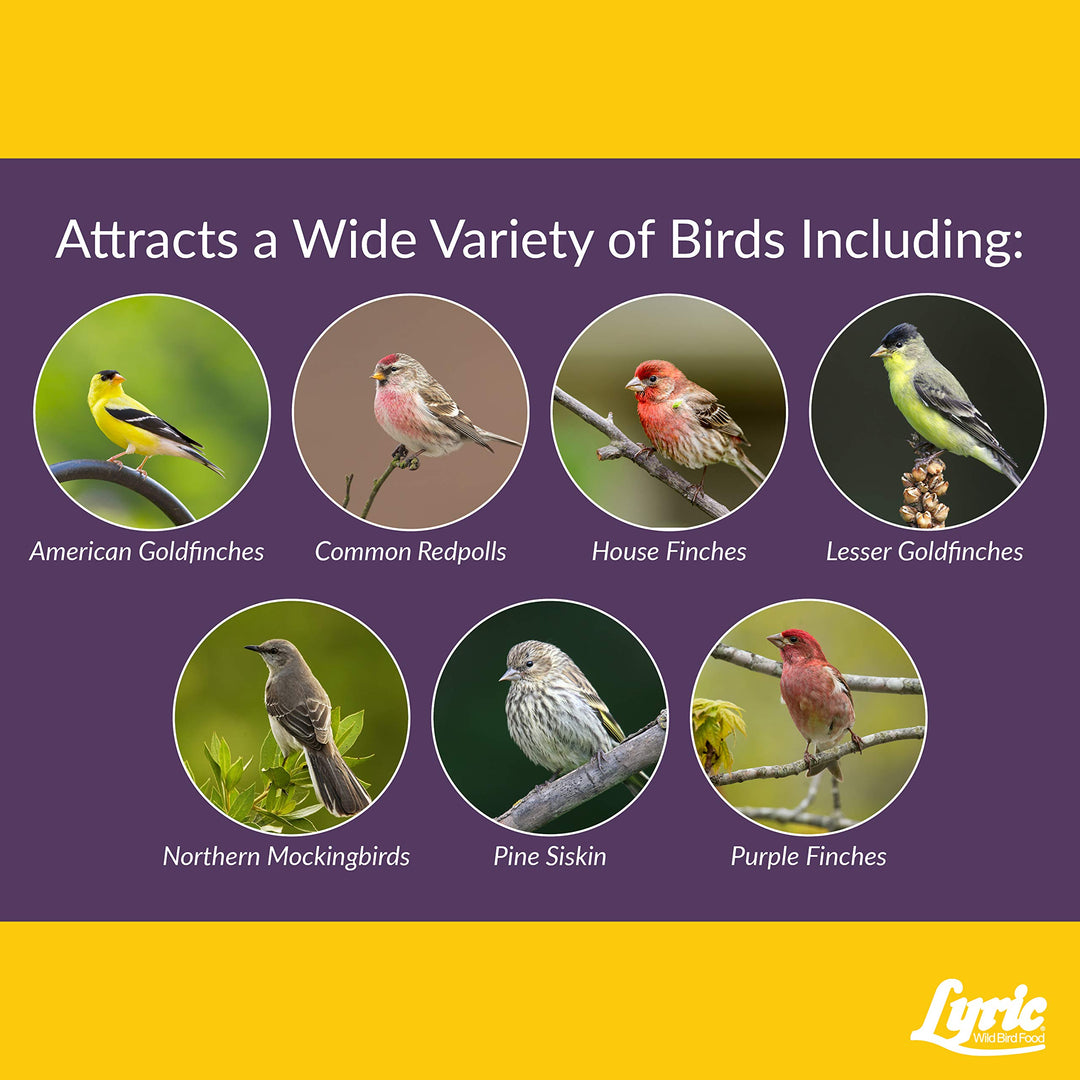 Finch - Small Songbird Wild Bird Seed - Attracts Goldfinches, House Finches, Purple Finches & More - 5 lb. Bag