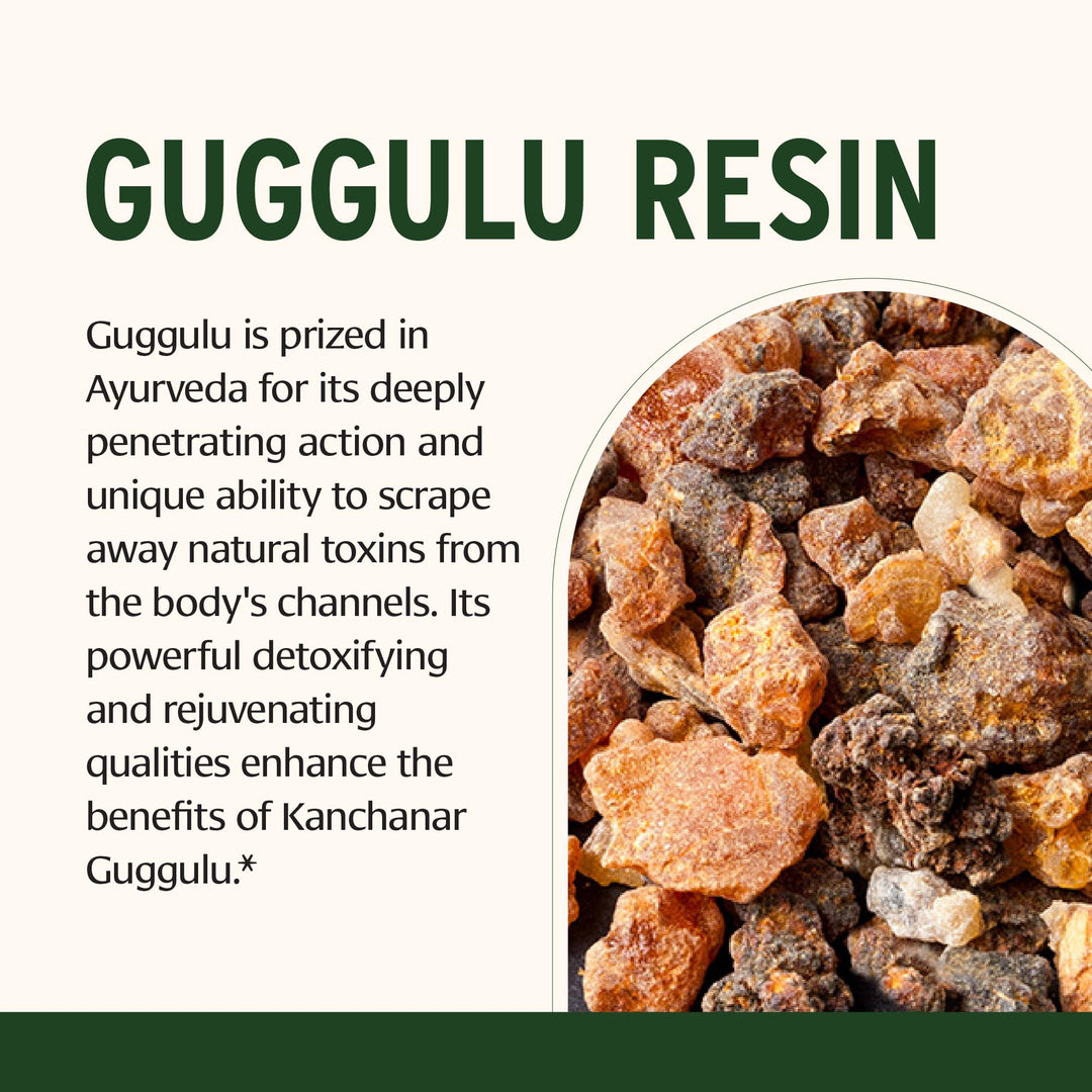 Kanchanar Guggulu Tablets – Organic Lymph Supplement with Guggulu Resin – Promotes The Healthy Elimination of Natural Toxins* – 90 Tablets – Non-GMO Sustainably Sourced Vegan
