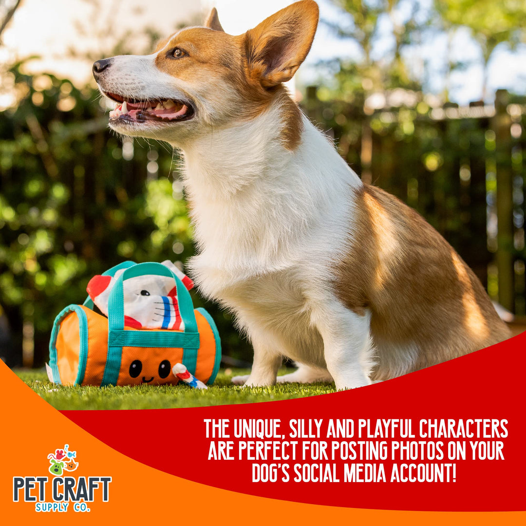 Hide&Seek Plush Dog Toys Crinkle Squeaky Interactive Burrow Activity Puzzle Chew Fetch Treat Hiding Brain Stimulating Cute Funny Toy Bundle Pk for Small&Medium Dogs Puppies,4Piece Set