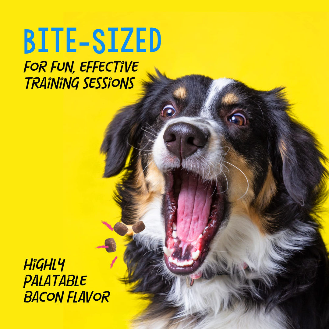 Train-Me! Training Reward Mini Dog Treats 4 Ounce (Pack of 1)
