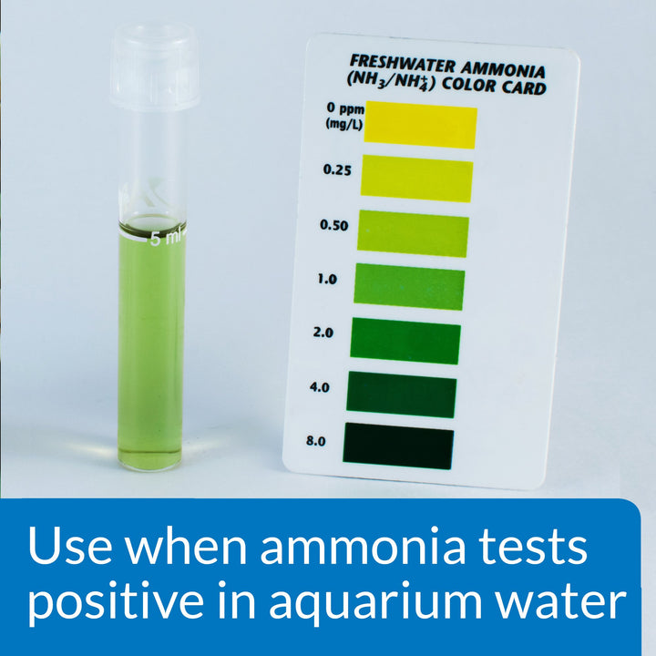 AMMO-LOCK Freshwater and Saltwater Aquarium Ammonia Detoxifier 16-Ounce Bottle