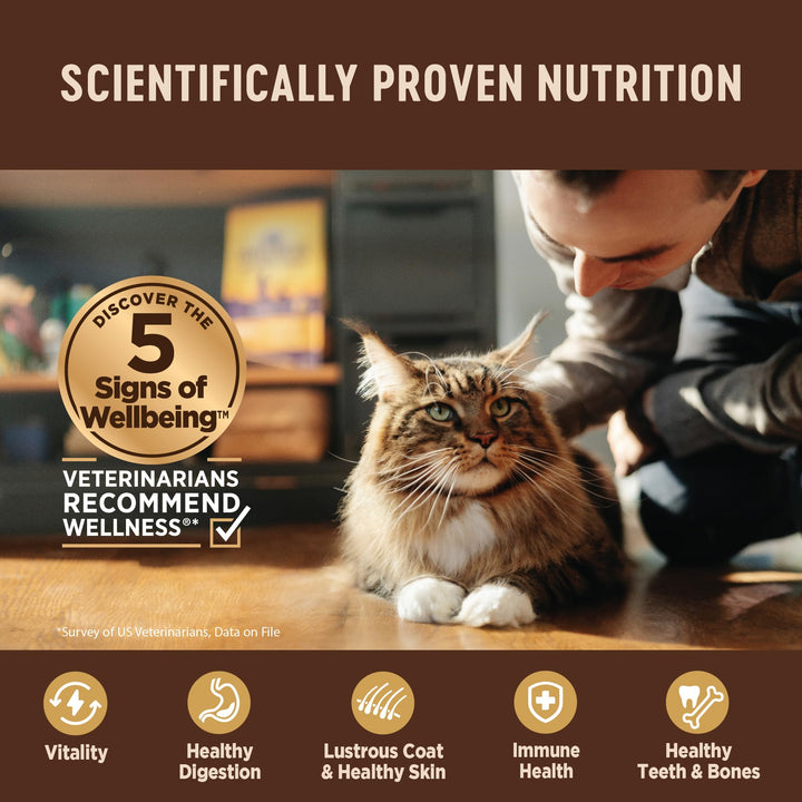 CORE Hearty Cuts Natural Grain Free Wet Canned Cat Food, Whitefish & Salmon, 5.5-Ounce Can (Pack of 24)