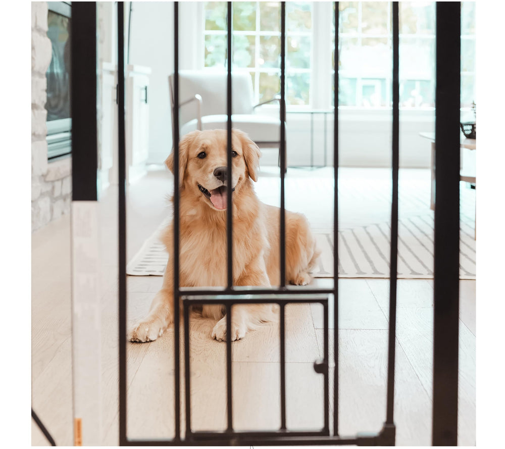 Carlson Extra Tall Walk Through Pet Gate with Small Pet Door, for Openings 29-39 Wide,Includes 4-Inch Extension Kit, 4 Pack Pressure Mount Kit and 4 Pack Wall Mount Kit, Black