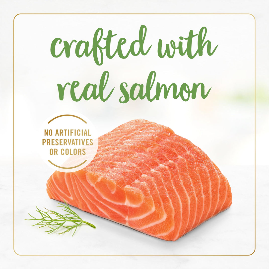 Purina Gravy Lovers Salmon Feast Grilled Gourmet Cat Food in Wet Cat Food Gravy - (Pack of 24) 3 oz. Cans