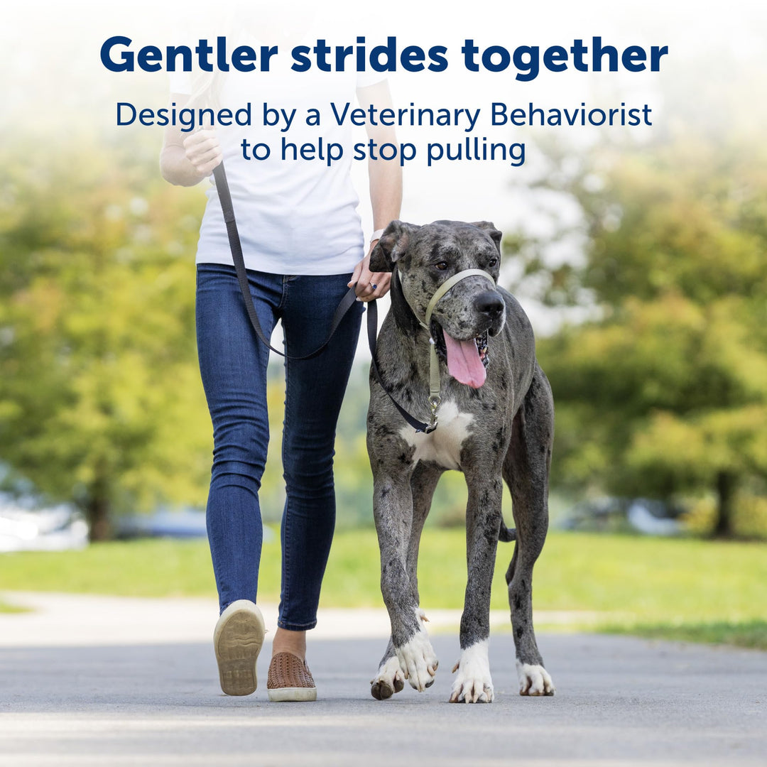 Gentle Leader No-Pull Dog Headcollar - The Ultimate Solution to Pulling - Redirects Your Dog's Pulling for Easier Walks - Helps You Regain Control - X-Large, Black