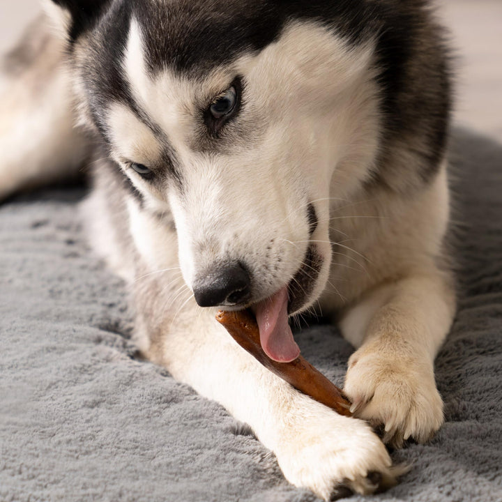 100% Made in USA Beefhide 5 Chip Rolls Dog Chew Treats - Beef & Chicken Flavor, 20 Count/1 Pack