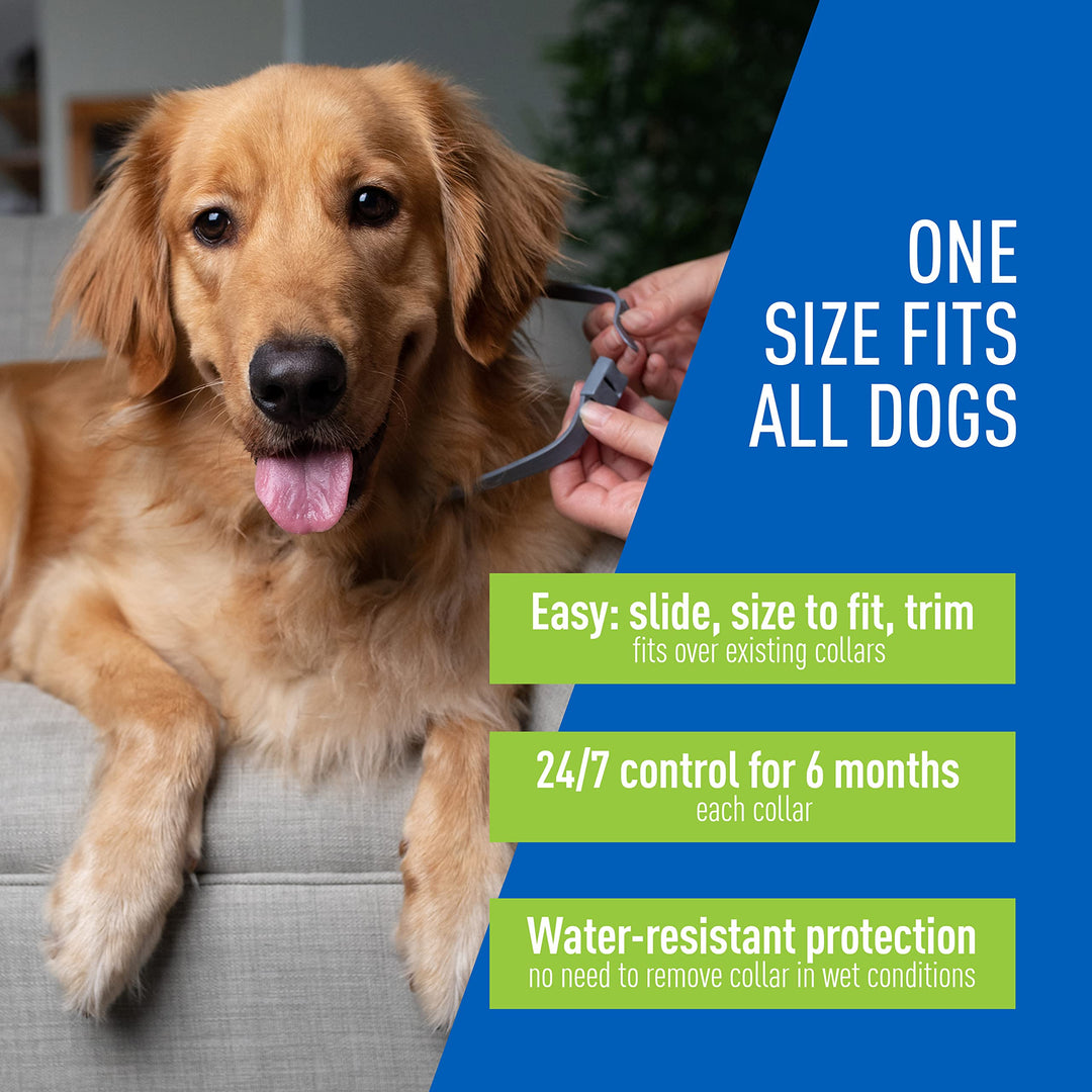 Flea & Tick Collar for Dogs & Puppies | 2 Pack | 12 Month Protection | Adjustable One Size | Kills Fleas, Ticks & Repels Mosquitoes | Excluding California