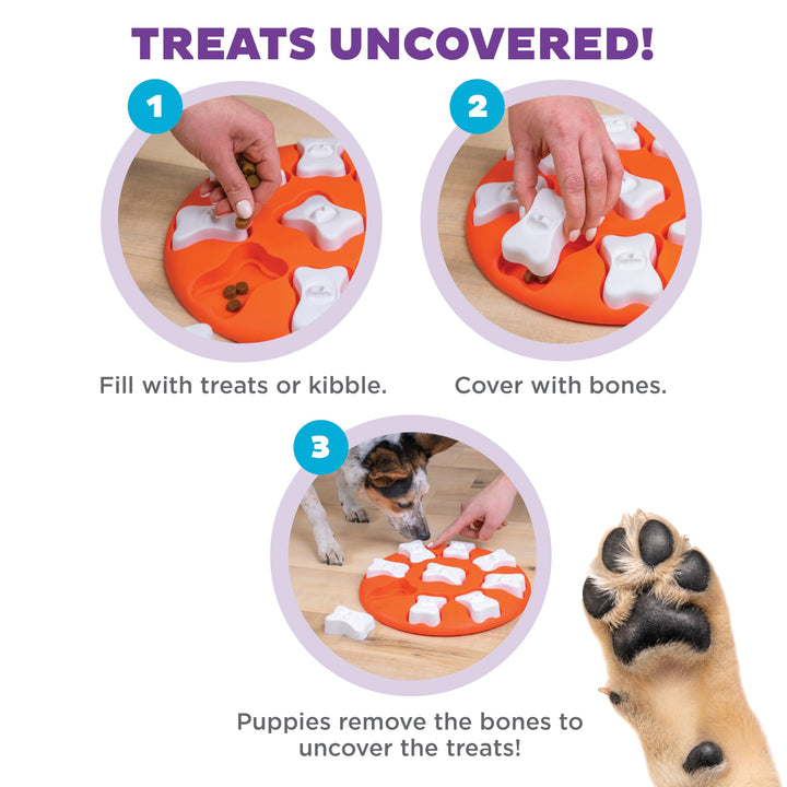 by Nina Ottosson Dog Smart Treat Puzzle Enrichment Toy, Level 1 Beginner, Orange